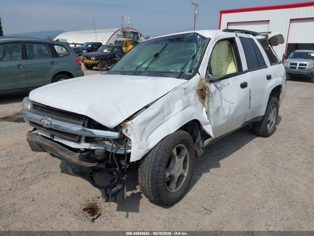 Продажа на аукционе авто 2008 Chevrolet Trailblazer Fleet, vin: 1GNDS13S982228293, номер лота: 45894843