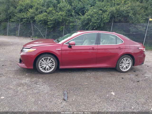 4T1F31AK8LU017242 Toyota Camry Hybrid Xle