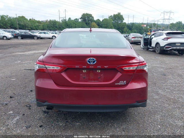 4T1F31AK8LU017242 Toyota Camry Hybrid Xle