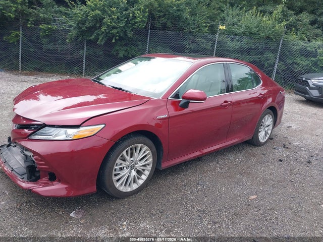 4T1F31AK8LU017242 Toyota Camry Hybrid Xle