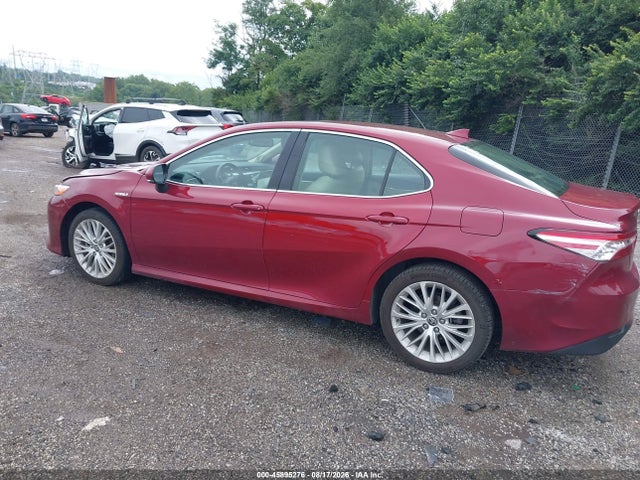 4T1F31AK8LU017242 Toyota Camry Hybrid Xle