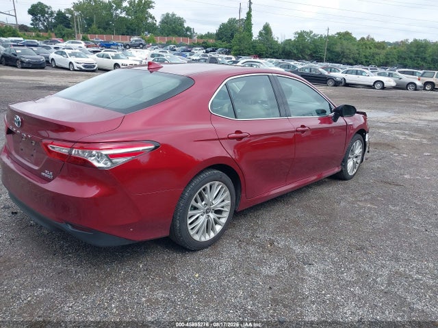 4T1F31AK8LU017242 Toyota Camry Hybrid Xle