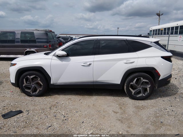 Продажа на аукционе авто 2024 Hyundai Tucson Limited, vin: 5NMJE3DE8RH347389, номер лота: 45895528