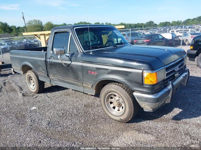 Продажа на аукционе авто 1990 Ford F150, vin: 1FTDF15N7LNA14981, номер лота: 45895553