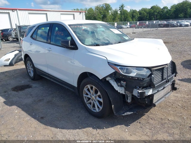 Продаж на аукціоні авто 2019 Chevrolet Equinox Ls, vin: 2GNAXSEV7K6236047, номер лоту: 45896976