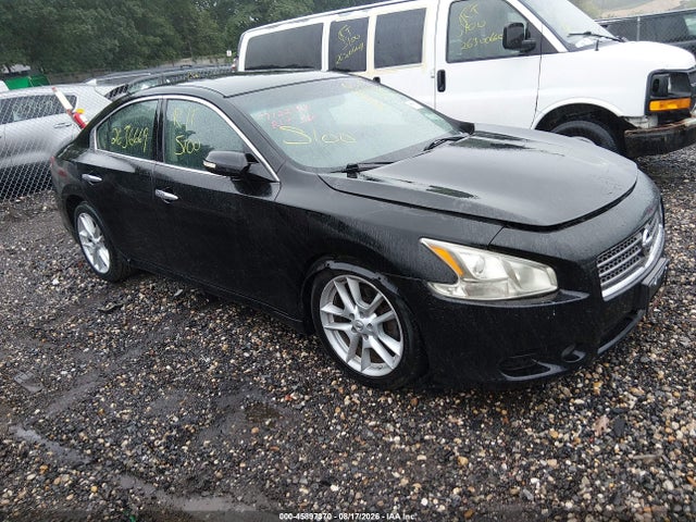 2011 Nissan Maxima 3.5 Sv მანქანა იყიდება აუქციონზე, vin: 1N4AA5AP8BC831845, აუქციონის ნომერი: 45897370