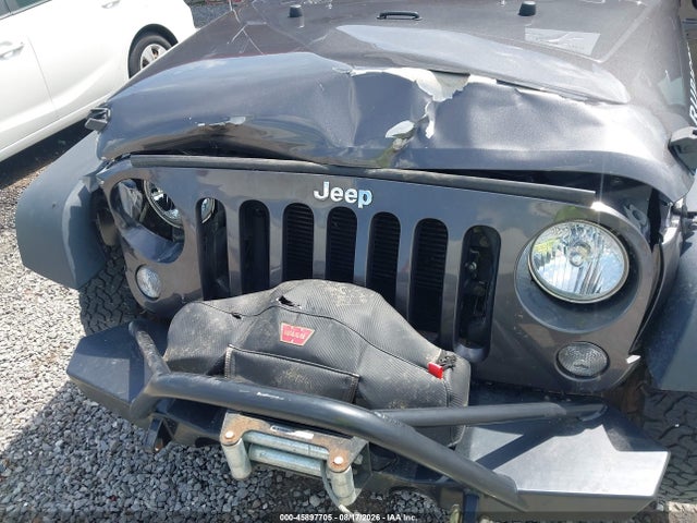 Продаж на аукціоні авто 2016 Jeep Wrangler Rubicon, vin: 1C4BJWCG7GL225798, номер лоту: 45897705
