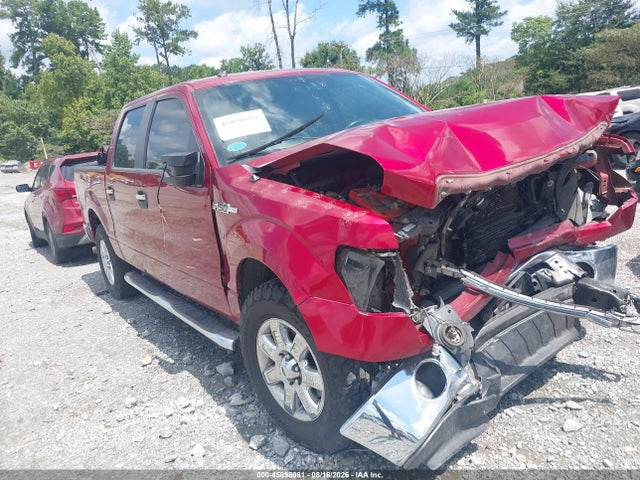 45898081 :رقم المزاد ، 1FTFW1EF8DFA66763 vin ، 2013 Ford F-150 Xlt مزاد بيع