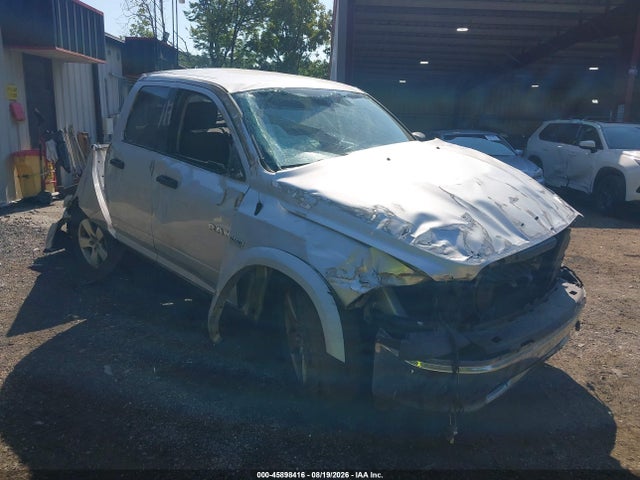 2010 Dodge Ram 1500 Slt მანქანა იყიდება აუქციონზე, vin: 1D7RV1GT6AS219569, აუქციონის ნომერი: 45898416