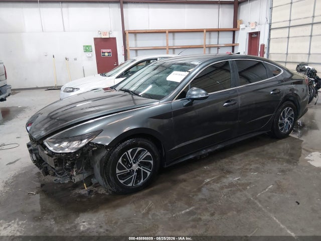 45898809 :رقم المزاد ، KMHL24JJ5NA042893 vin ، 2022 Hyundai Sonata Hybrid Blue مزاد بيع
