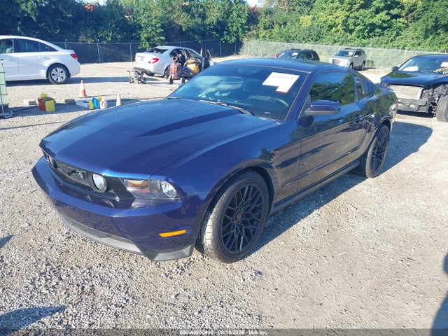 45900498 :رقم المزاد ، 1ZVBP8CHXA5168928 vin ، 2010 Ford Mustang Gt Premium مزاد بيع