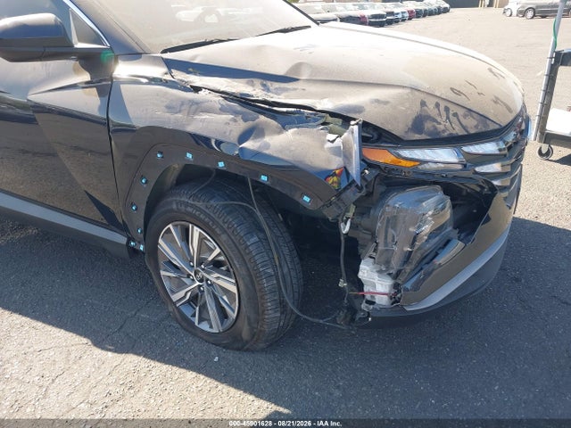 Hyundai Tucson Hybrid Blue 2024 KM8JBCD10RU219710 Image 6