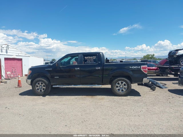 2014 Ford F-150 Xlt მანქანა იყიდება აუქციონზე, vin: 1FTFW1ET7EKG43930, აუქციონის ნომერი: 45902977