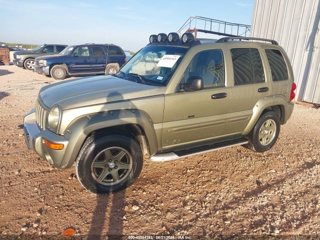 Продаж на аукціоні авто 2002 Jeep Liberty Renegade, vin: 1J4GL38K32W332490, номер лоту: 45904163