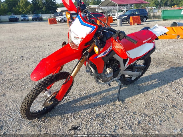 Honda Crf300 L 2024 MLHND1617R5301037 Image 2