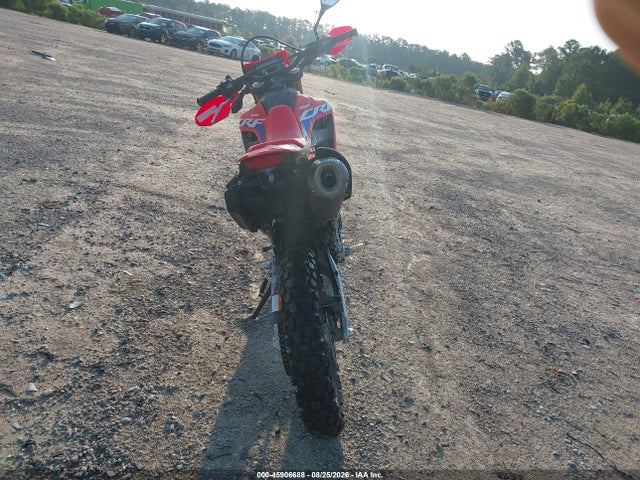 Honda Crf300 L 2024 MLHND1617R5301037 Image 6