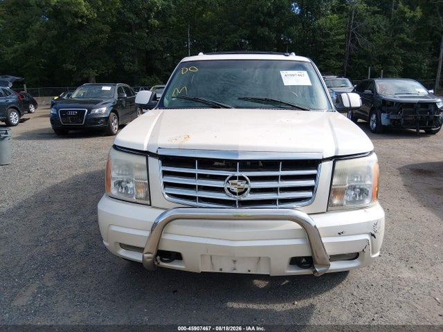 Продаж на аукціоні авто 2002 Cadillac Escalade Standard, vin: 1GYEK63N62R304744, номер лоту: 45907467