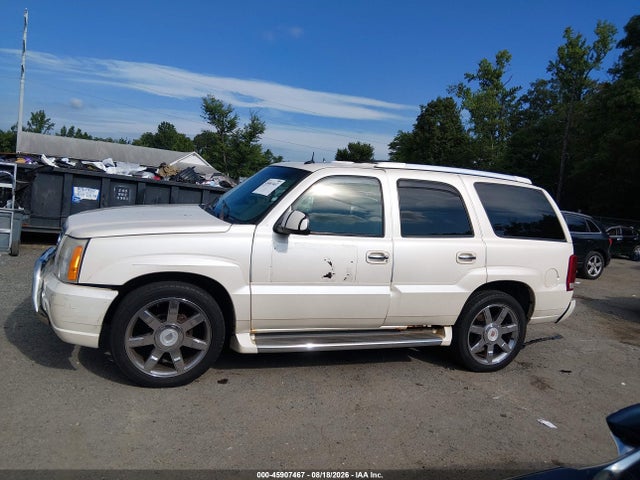Продаж на аукціоні авто 2002 Cadillac Escalade Standard, vin: 1GYEK63N62R304744, номер лоту: 45907467