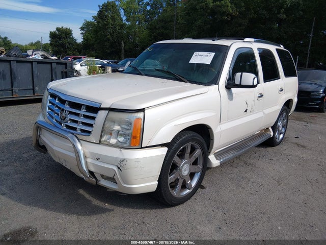 Продаж на аукціоні авто 2002 Cadillac Escalade Standard, vin: 1GYEK63N62R304744, номер лоту: 45907467