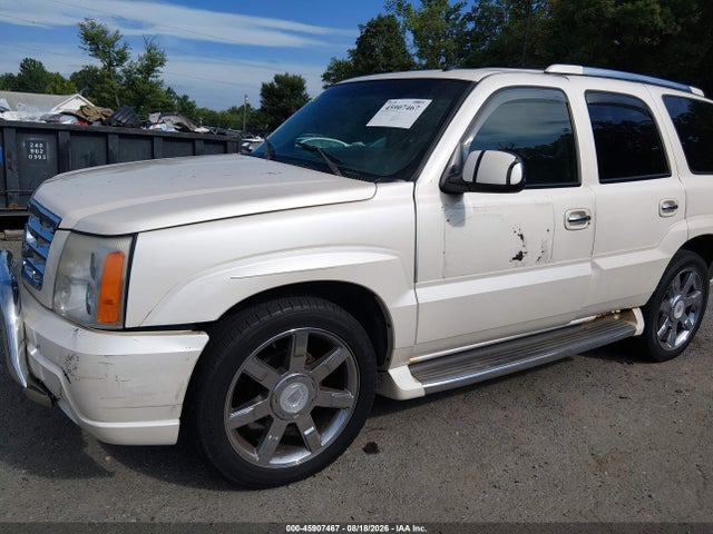 Продаж на аукціоні авто 2002 Cadillac Escalade Standard, vin: 1GYEK63N62R304744, номер лоту: 45907467