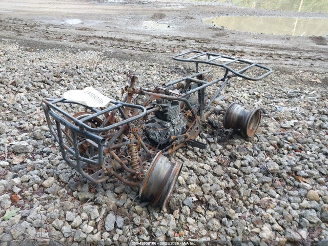 45908106 :رقم المزاد ، 478TE210124203816 vin ، 2002 Honda Trx250 مزاد بيع