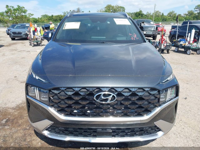 Продажа на аукционе авто 2023 Hyundai Santa Fe Calligraphy, vin: 5NMS5DAL4PH582009, номер лота: 45908795
