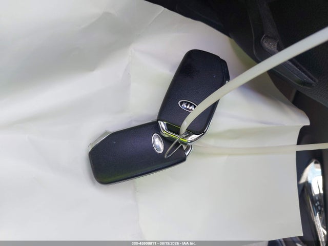 Aukcja sprzedaży 2020 Kia Telluride Lx, vin: 5XYP24HC0LG015076, numer aukcji: 45908811