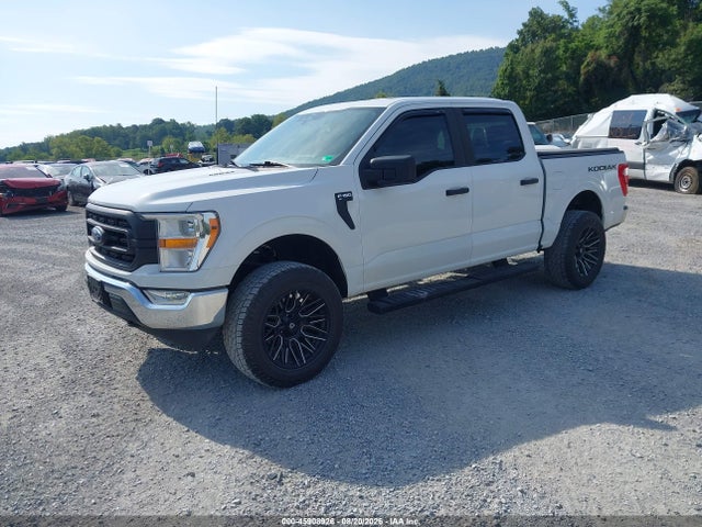 45908926 :رقم المزاد ، 1FTEW1EP7MFD12450 vin ، 2021 Ford F-150 Xl مزاد بيع