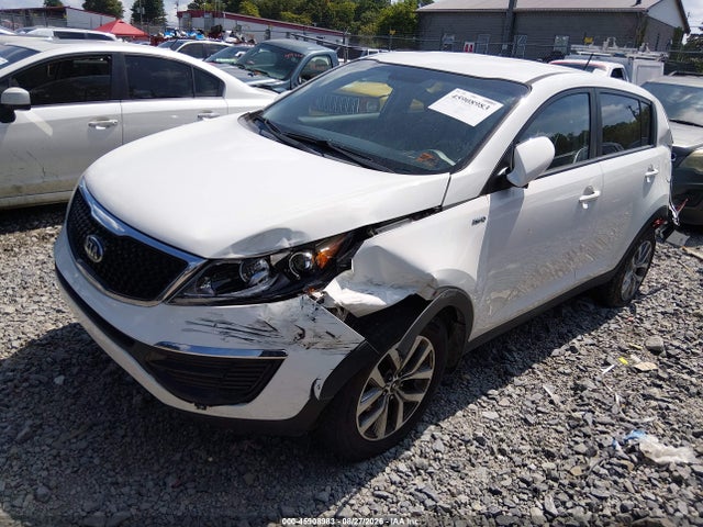 Aukcja sprzedaży 2016 Kia Sportage Lx, vin: KNDPBCAC3G7833182, numer aukcji: 45908983