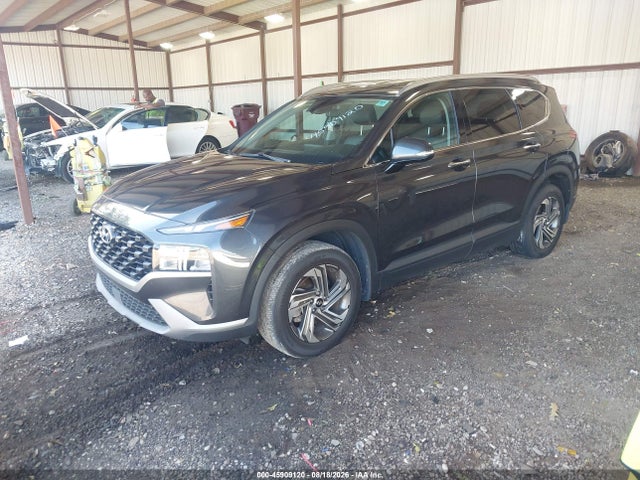 Продаж на аукціоні авто 2023 Hyundai Santa Fe Sel, vin: 5NMS24AJ8PH506364, номер лоту: 45909120