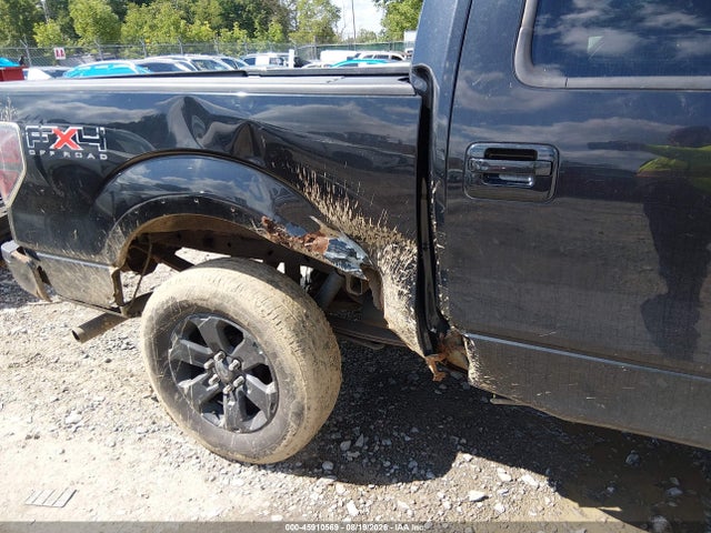 Auction sale of the 2011 Ford F-150 Fx4, vin: 1FTFW1EF9BFA93094, lot number: 45910569