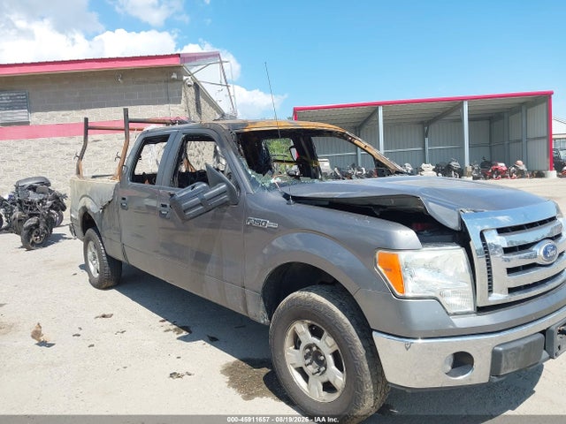Aukcja sprzedaży 2010 Ford F-150 Xlt, vin: 1FTFW1EV8AFB54957, numer aukcji: 45911657