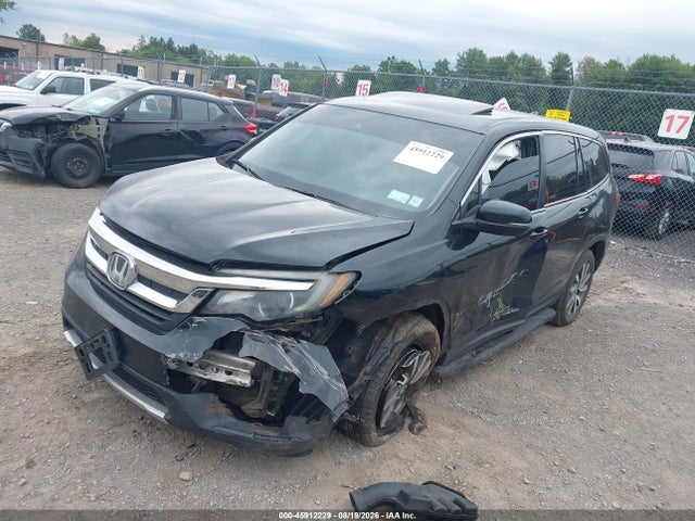 Продажа на аукционе авто 2019 Honda Pilot Ex-l, vin: 5FNYF6H59KB021177, номер лота: 45912229