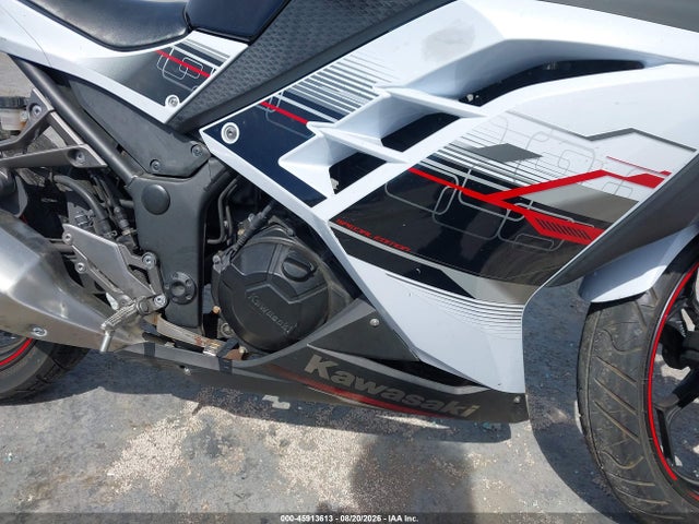 Kawasaki Ex300 B 2014 JKAEX8B16EA000697 Image 8
