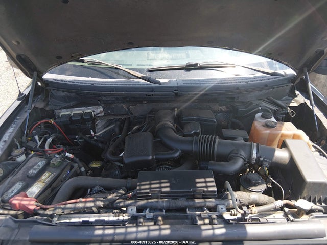 45913825 :رقم المزاد ، 1FTFW1EV2AFA49783 vin ، 2010 Ford F-150 Fx4/harley-davidson/king Ranch/lariat/platinum/xl/xlt مزاد بيع