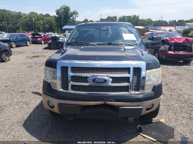 45913825 :رقم المزاد ، 1FTFW1EV2AFA49783 vin ، 2010 Ford F-150 Fx4/harley-davidson/king Ranch/lariat/platinum/xl/xlt مزاد بيع