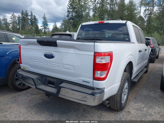 1FTEW1EP4MFA28824 Ford F-150 Xl