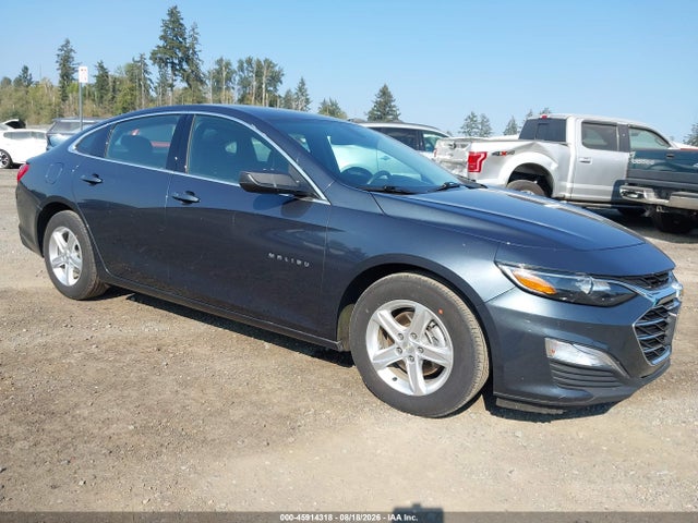 Chevrolet Malibu Fwd 1fl 2020 1G1ZC5ST8LF139032 главное изображение