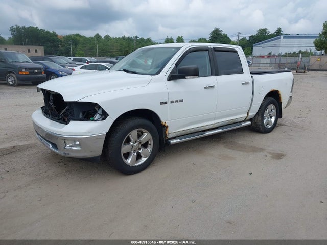 45915546 :رقم المزاد ، 1D7RV1CT3AS198315 vin ، 2010 Dodge Ram 1500 Slt/sport/trx مزاد بيع
