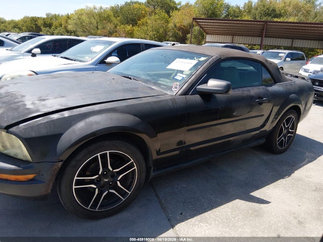 45916008 :رقم المزاد ، 1ZVFT84N265254890 vin ، 2006 Ford Mustang V6 مزاد بيع