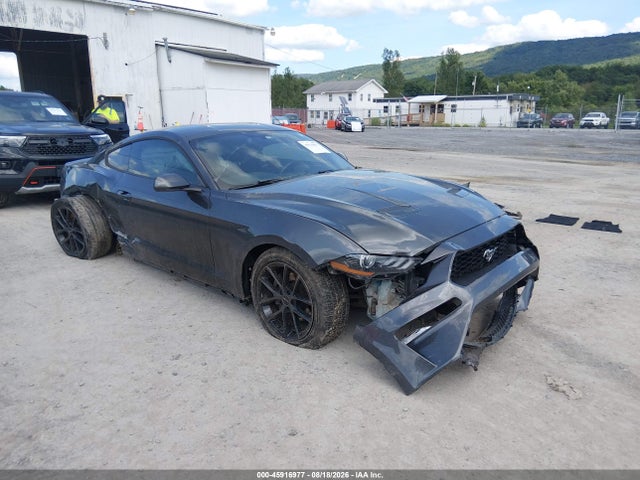 Продаж на аукціоні авто 2019 Ford Mustang Ecoboost, vin: 1FA6P8TH9K5105671, номер лоту: 45916977