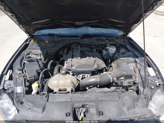 Продаж на аукціоні авто 2019 Ford Mustang Ecoboost, vin: 1FA6P8TH9K5105671, номер лоту: 45916977