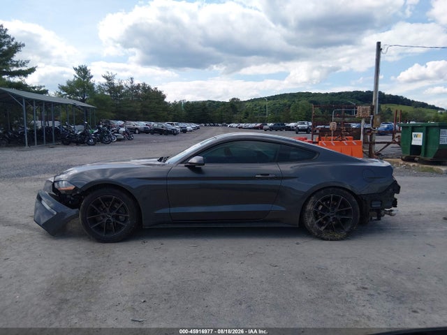 Продаж на аукціоні авто 2019 Ford Mustang Ecoboost, vin: 1FA6P8TH9K5105671, номер лоту: 45916977