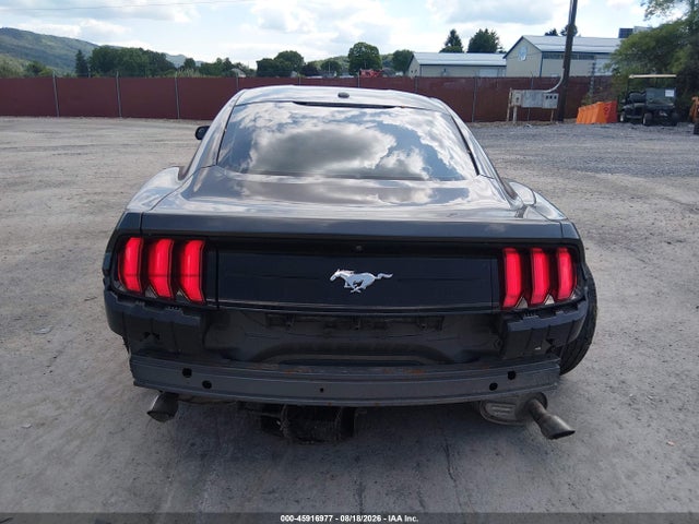 Продаж на аукціоні авто 2019 Ford Mustang Ecoboost, vin: 1FA6P8TH9K5105671, номер лоту: 45916977