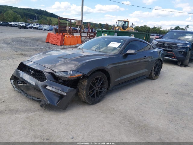 Продаж на аукціоні авто 2019 Ford Mustang Ecoboost, vin: 1FA6P8TH9K5105671, номер лоту: 45916977