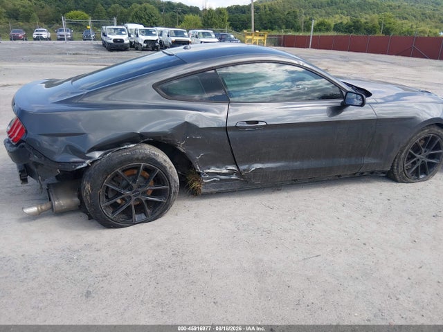 Продаж на аукціоні авто 2019 Ford Mustang Ecoboost, vin: 1FA6P8TH9K5105671, номер лоту: 45916977