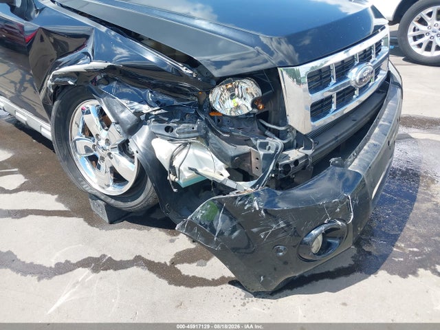 Продаж на аукціоні авто 2010 Ford Escape Limited, vin: 1FMCU0EG0AKC87770, номер лоту: 45917129