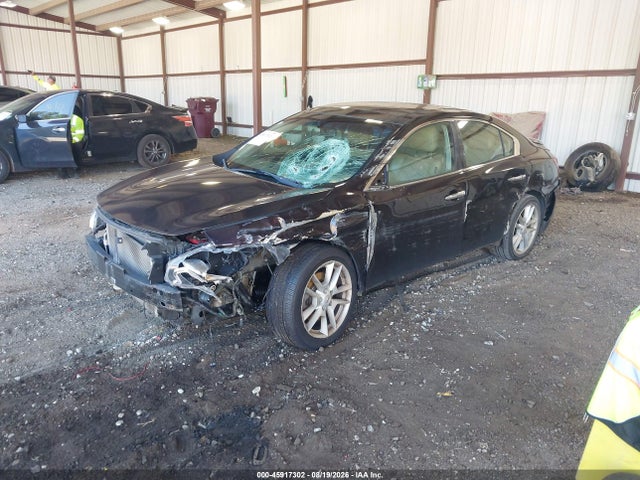 2010 Nissan Maxima 3.5 Sv მანქანა იყიდება აუქციონზე, vin: 1N4AA5AP8AC859658, აუქციონის ნომერი: 45917302