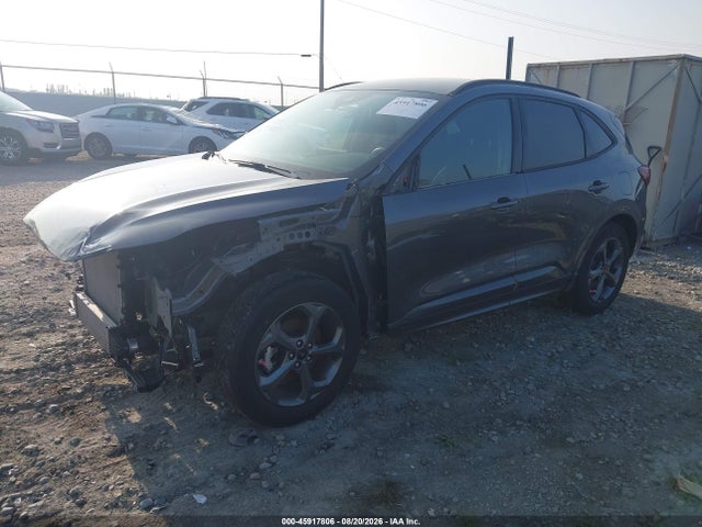 2024 Ford Escape St-line მანქანა იყიდება აუქციონზე, vin: 1FMCU0MN5RUA75009, აუქციონის ნომერი: 45917806