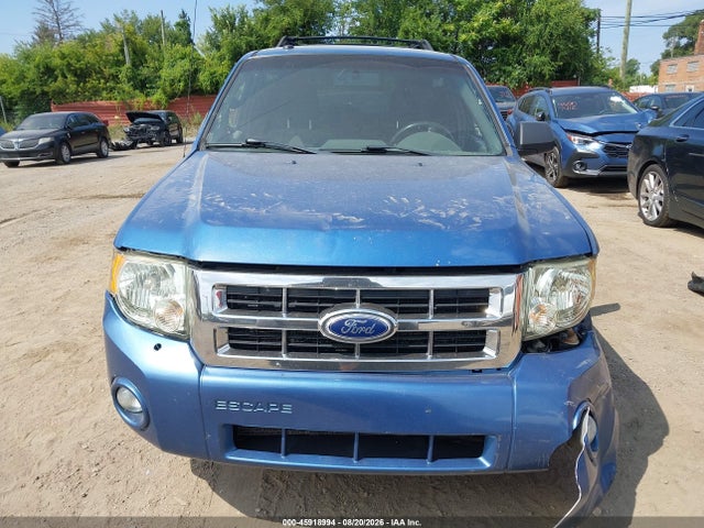 Продаж на аукціоні авто 2010 Ford Escape Xlt, vin: 1FMCU0D72AKC68221, номер лоту: 45918994